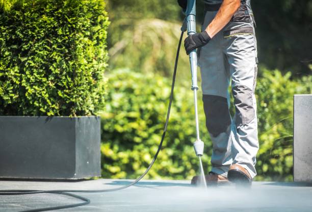 Best Pre-Holiday Cleaning  in Reed City, MI